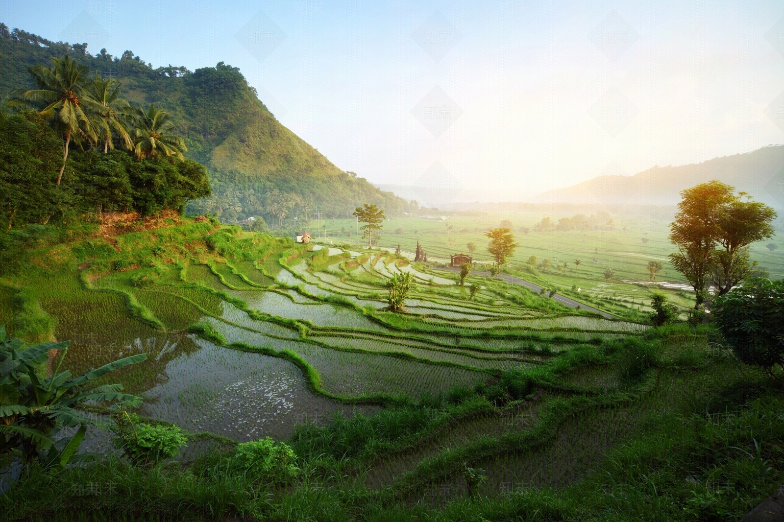 外景贴图下载【ID:178217134】