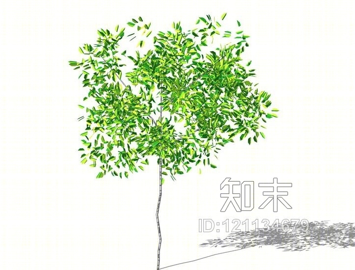 3D植物树SU模型下载【ID:121134679】