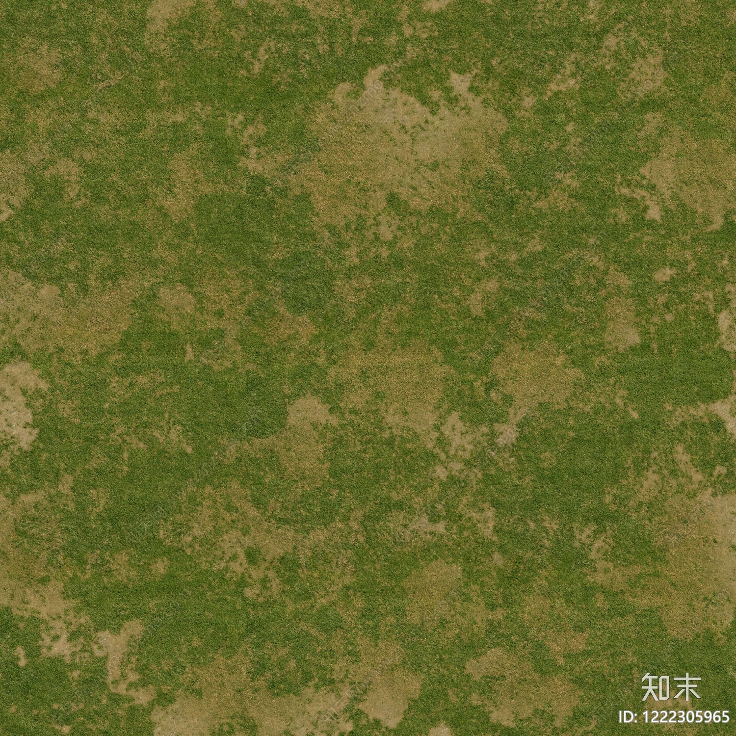 自然地面贴图下载【ID:1222305965】