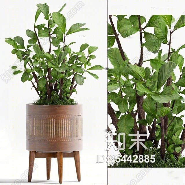 现代绿植盆景树3D模型下载【ID:35442885】