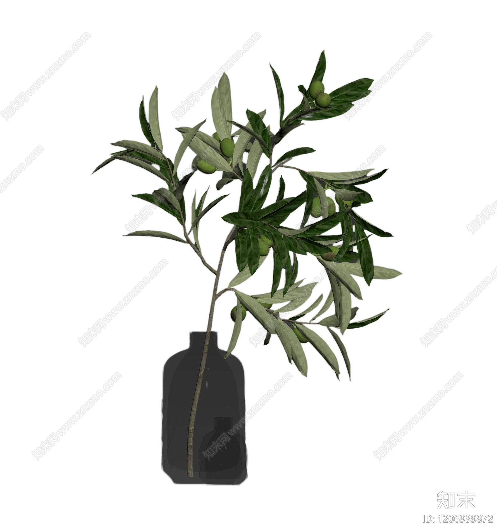 橄榄枝盆栽植物3D模型下载【ID:1206939872】
