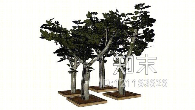 娇小，但该figuiersen无花果树的3D，3D，3DSU模型下载【ID:121163626】