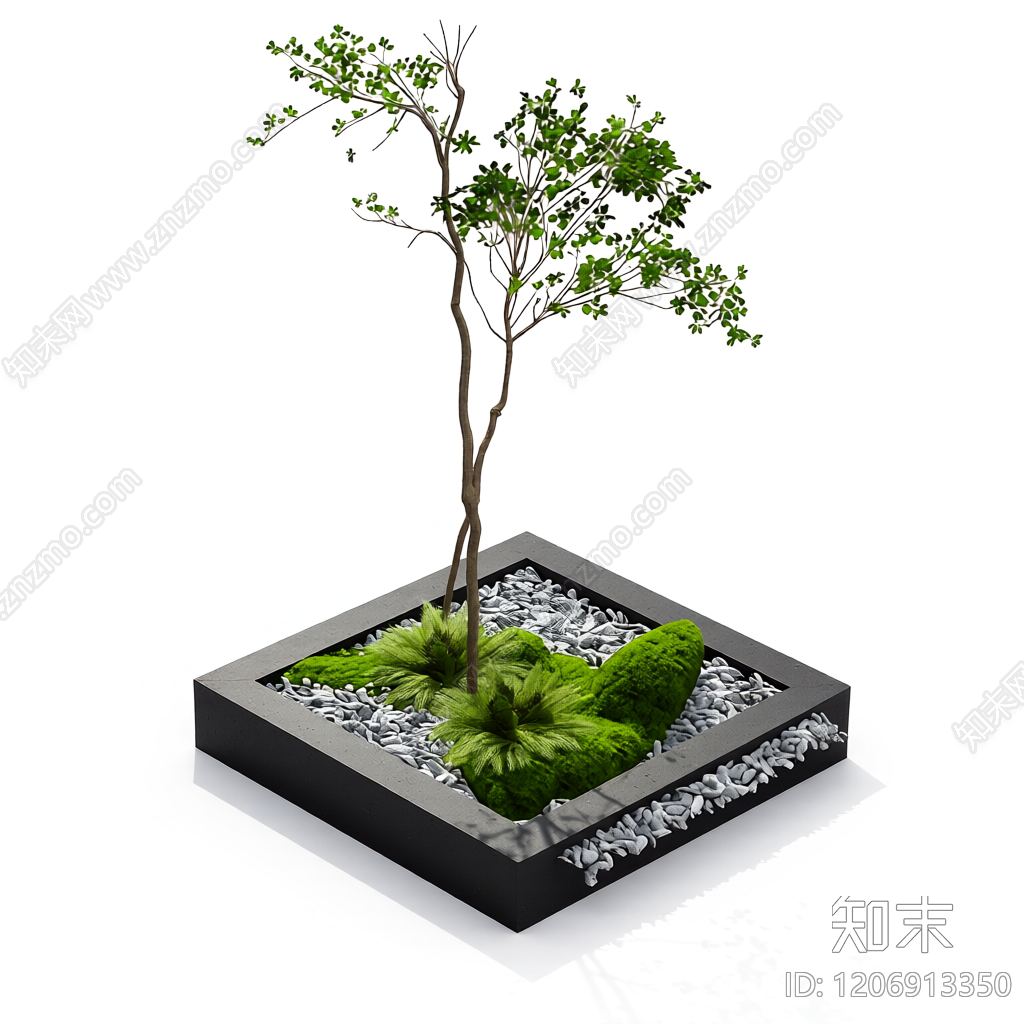 盆栽植物组合体3D模型下载【ID:1206913350】