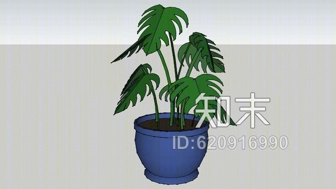 阔叶盆栽热带植物SU模型下载【ID:620916990】