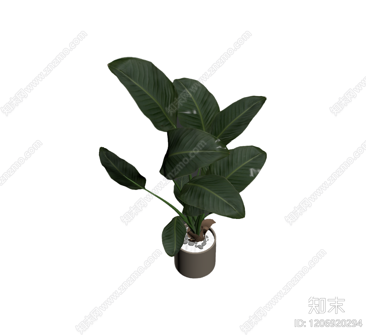 盆栽植物装饰3D模型下载【ID:1206920294】