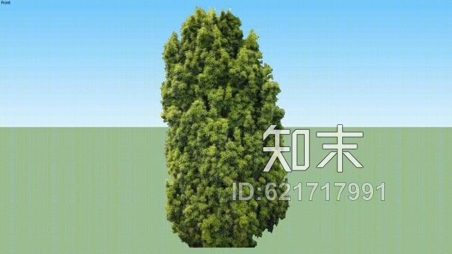 曼地亚红豆杉是是斯蒂芬妮SU模型下载【ID:621717991】