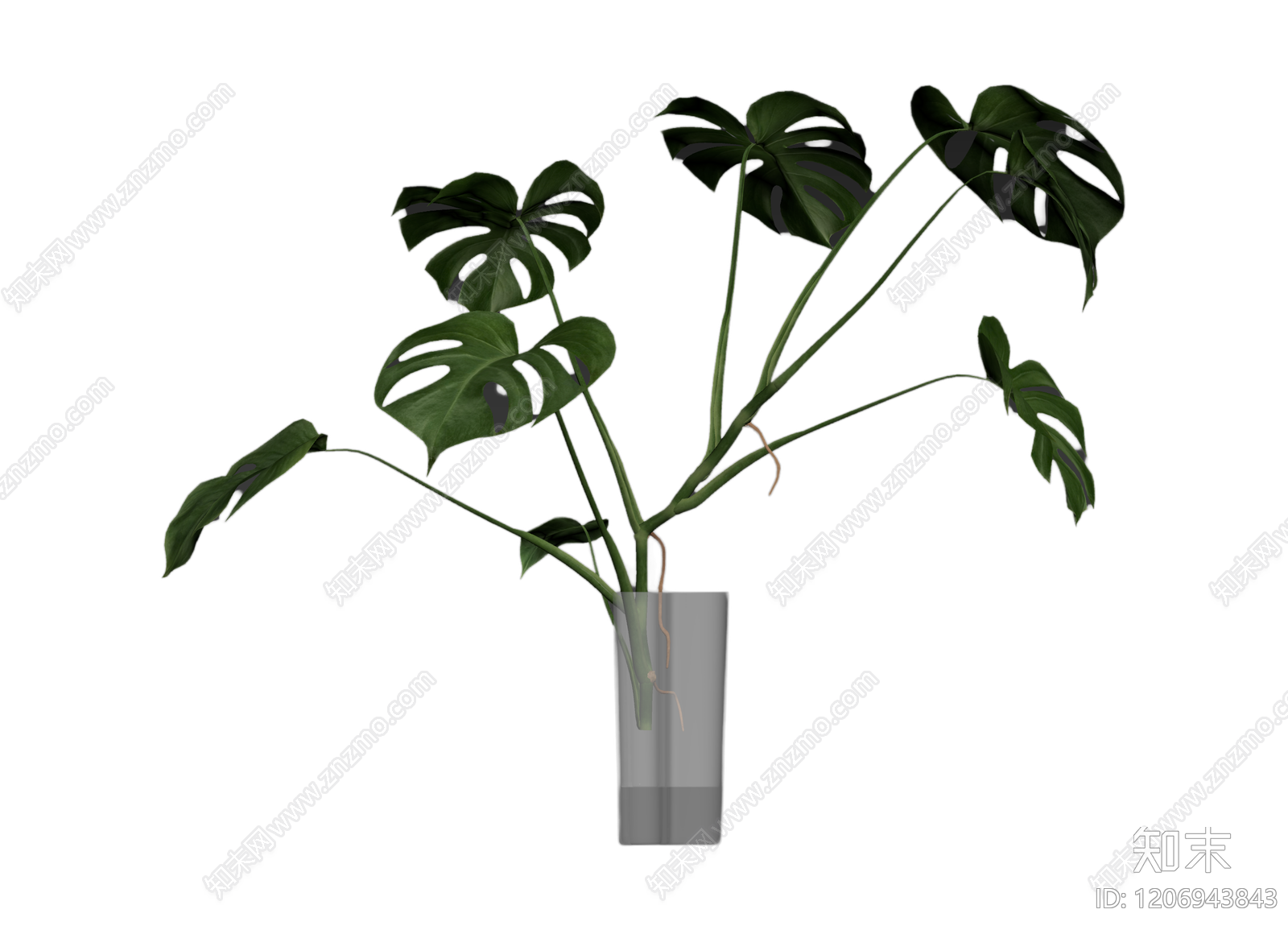 龟背竹盆栽3D模型下载【ID:1206943843】