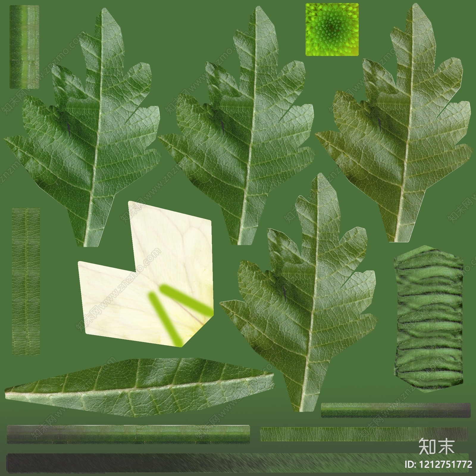 叶片纹理贴图下载【ID:1212751772】