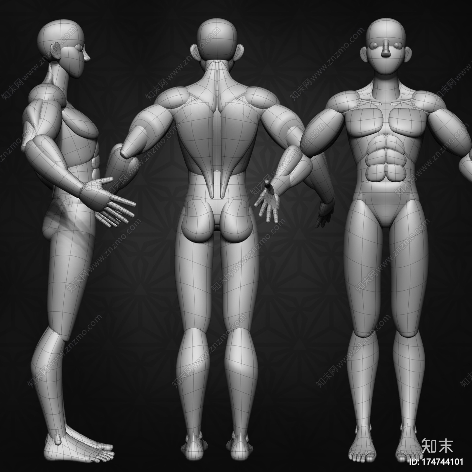 [块]原始男字符基础网格CG模型下载【ID:174744101】