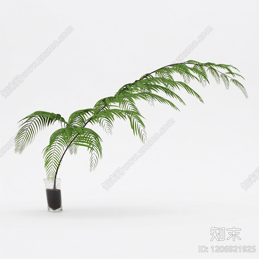 盆栽蕨类植物3D模型下载【ID:1206921925】