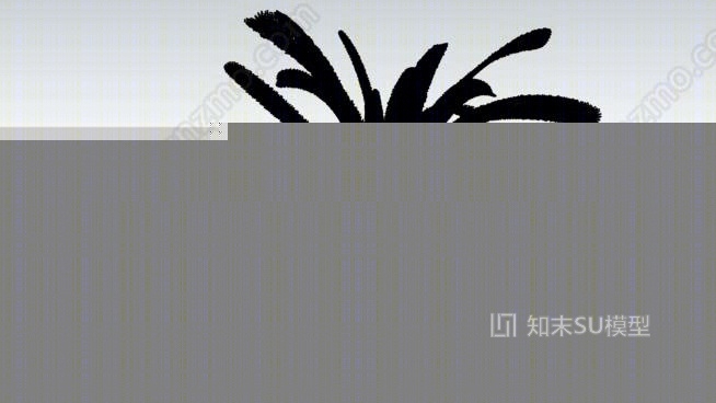 棕榈科植物SU模型下载【ID:626343910】