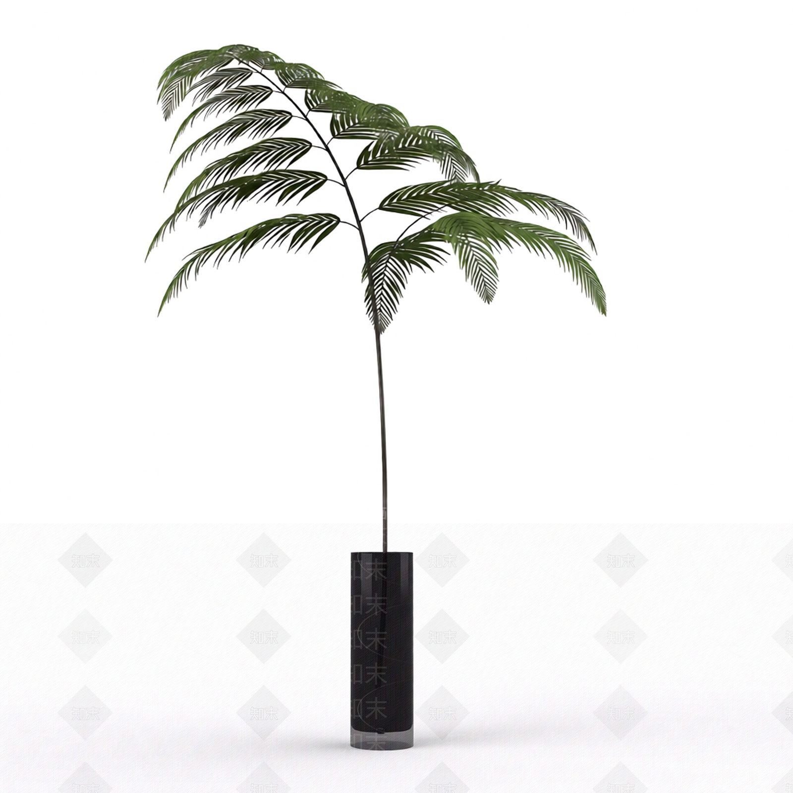 带盆绿色植物模型3D模型下载【ID:1206191490】