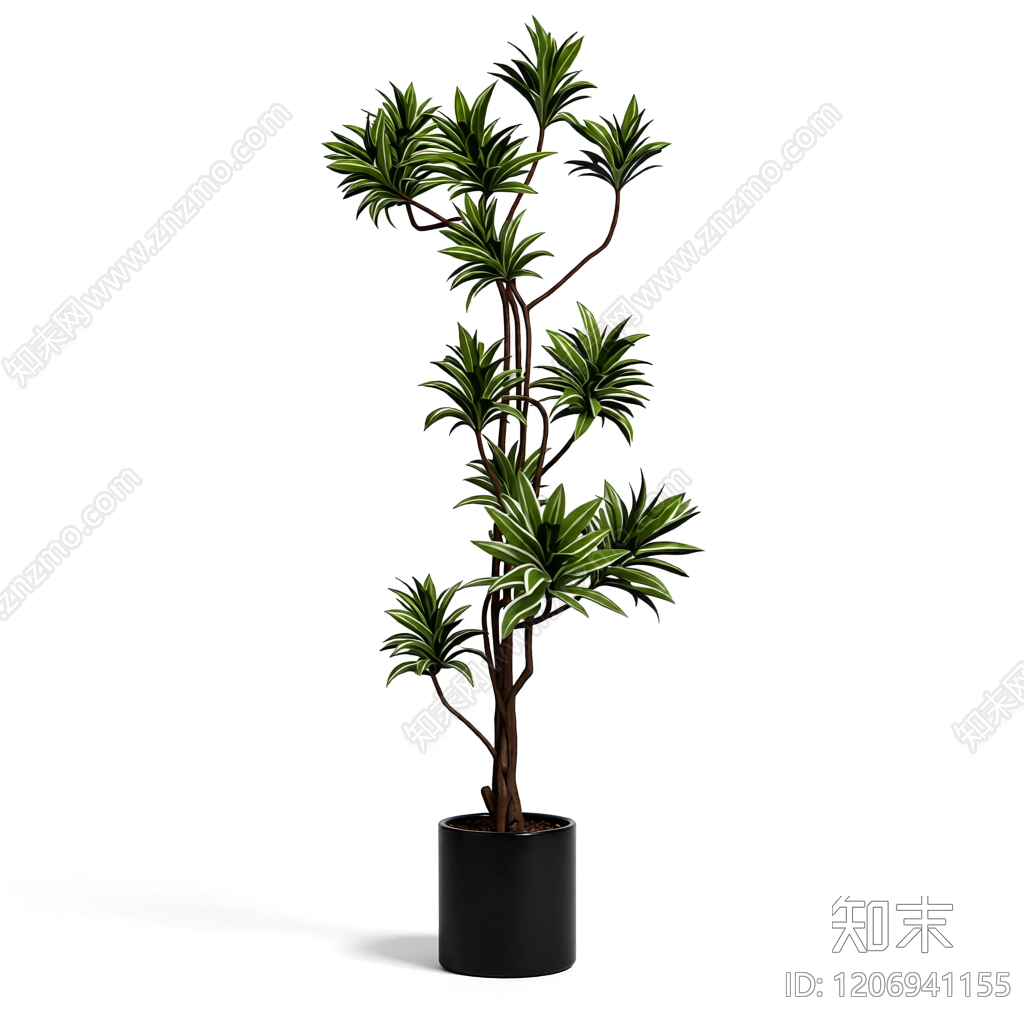 盆栽植物装饰3D模型下载【ID:1206941155】