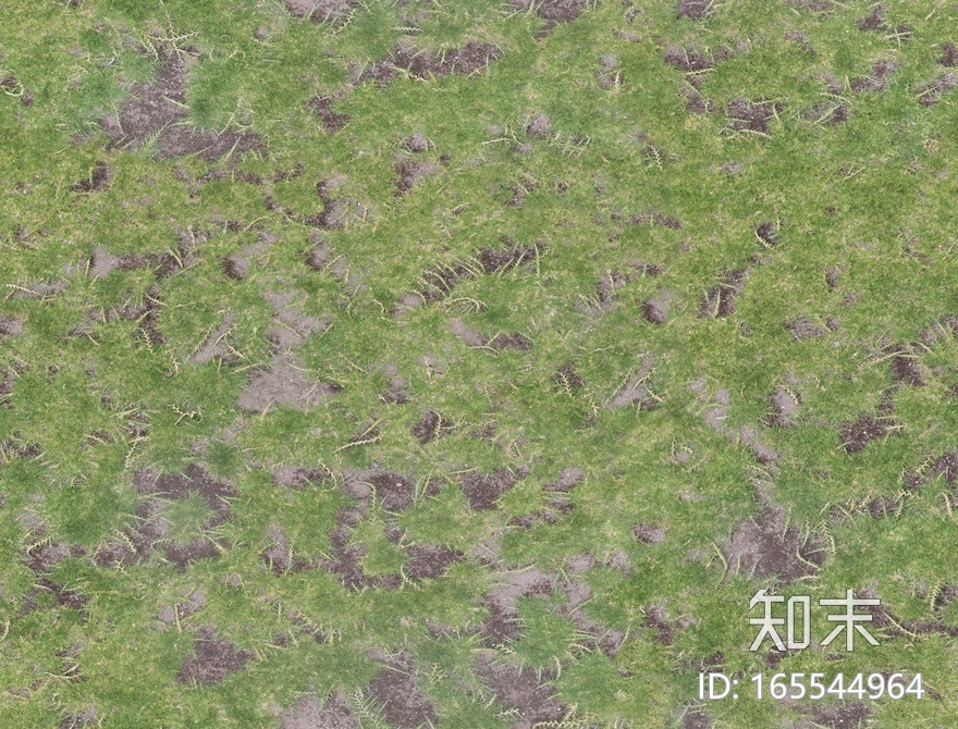 草皮地面贴图下载【ID:165544964】