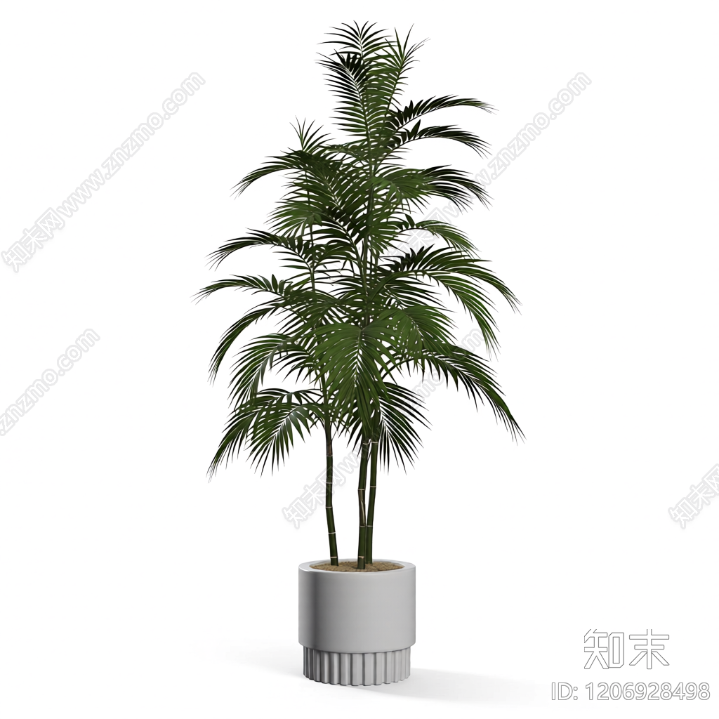 盆栽植物组合3D模型下载【ID:1206928498】