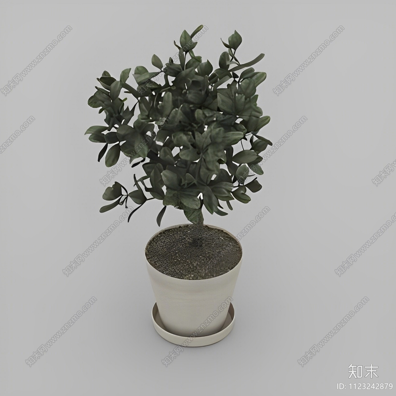 绿植盆栽免费3D模型下载【ID:1123242879】