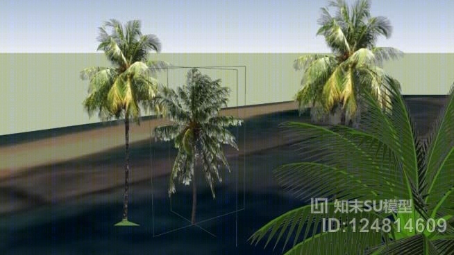 加勒灯塔附近的椰子树SU模型下载【ID:124814609】