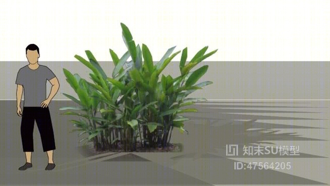 草SU模型下载【ID:219269134】
