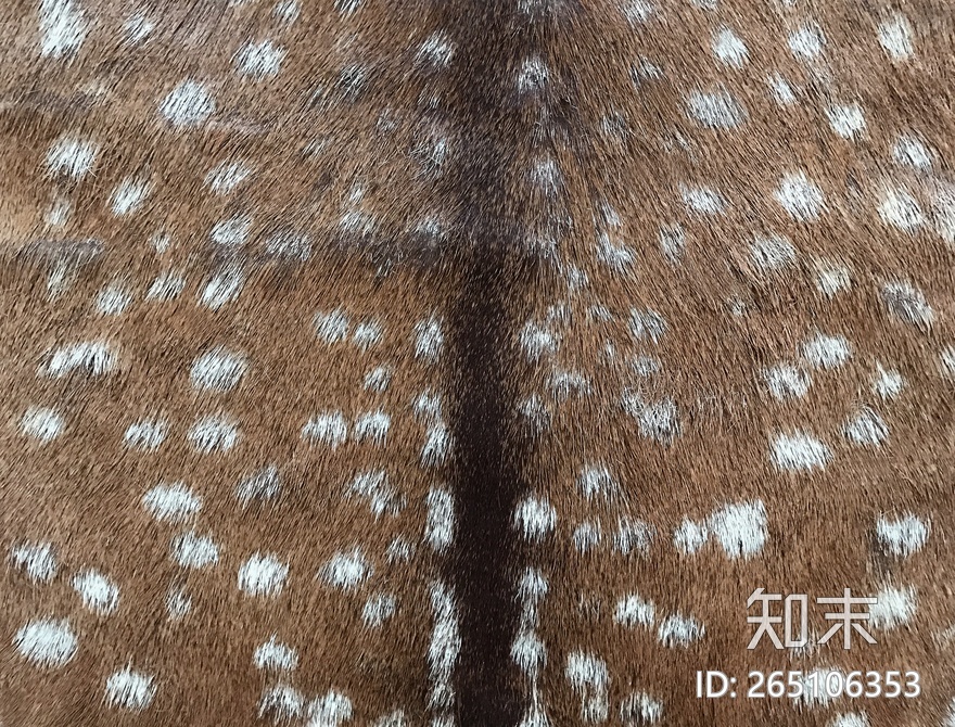 动物毛皮贴图下载【ID:265106353】