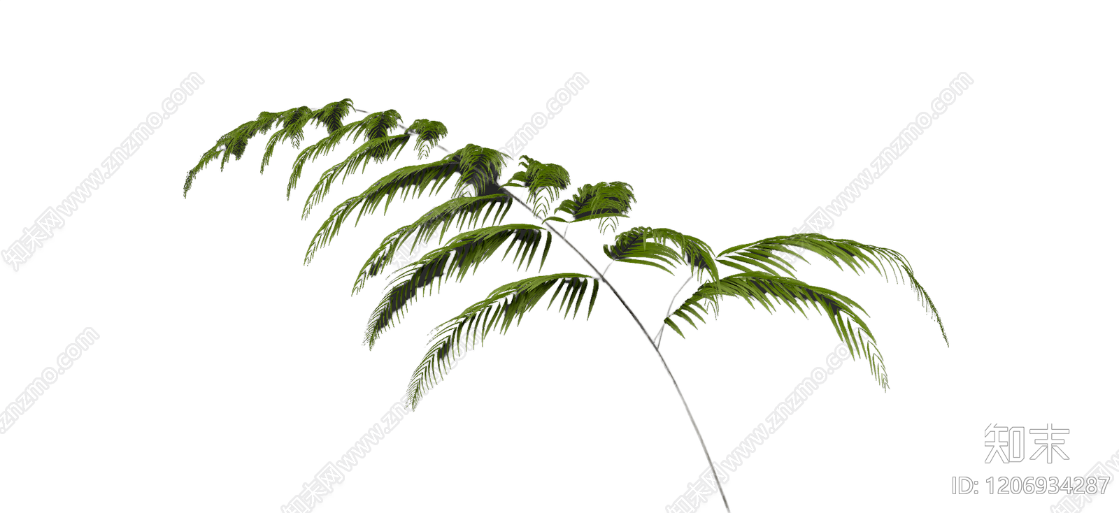 盆栽蕨类植物3D模型下载【ID:1206934287】