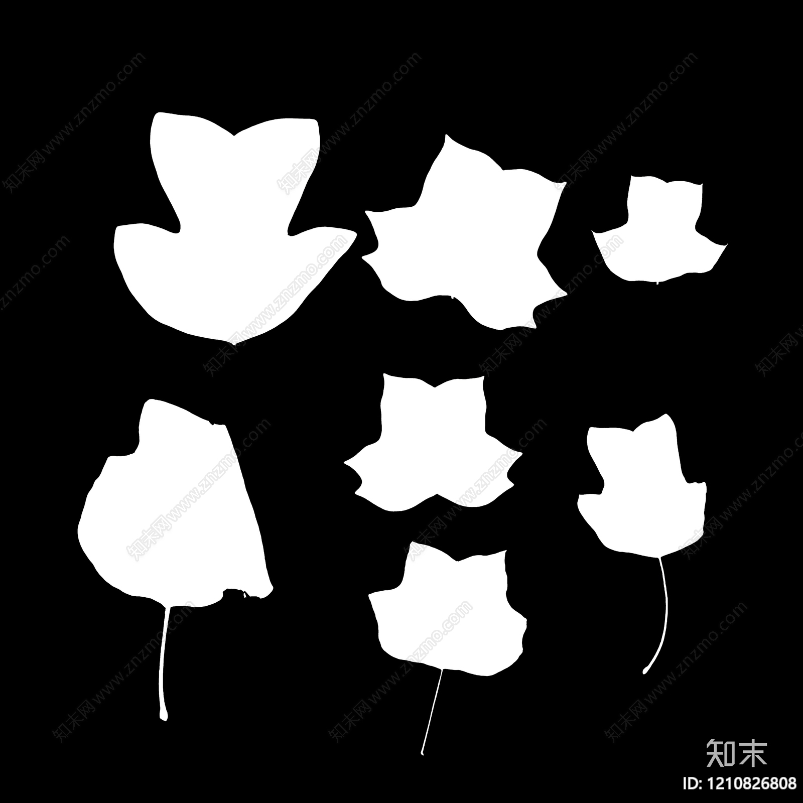 叶片纹理贴图下载【ID:1210826808】