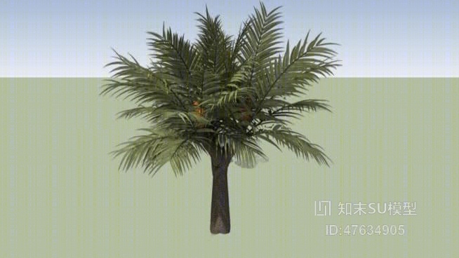 树SU模型下载【ID:47634905】