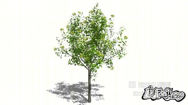 树SU模型下载【ID:117862685】