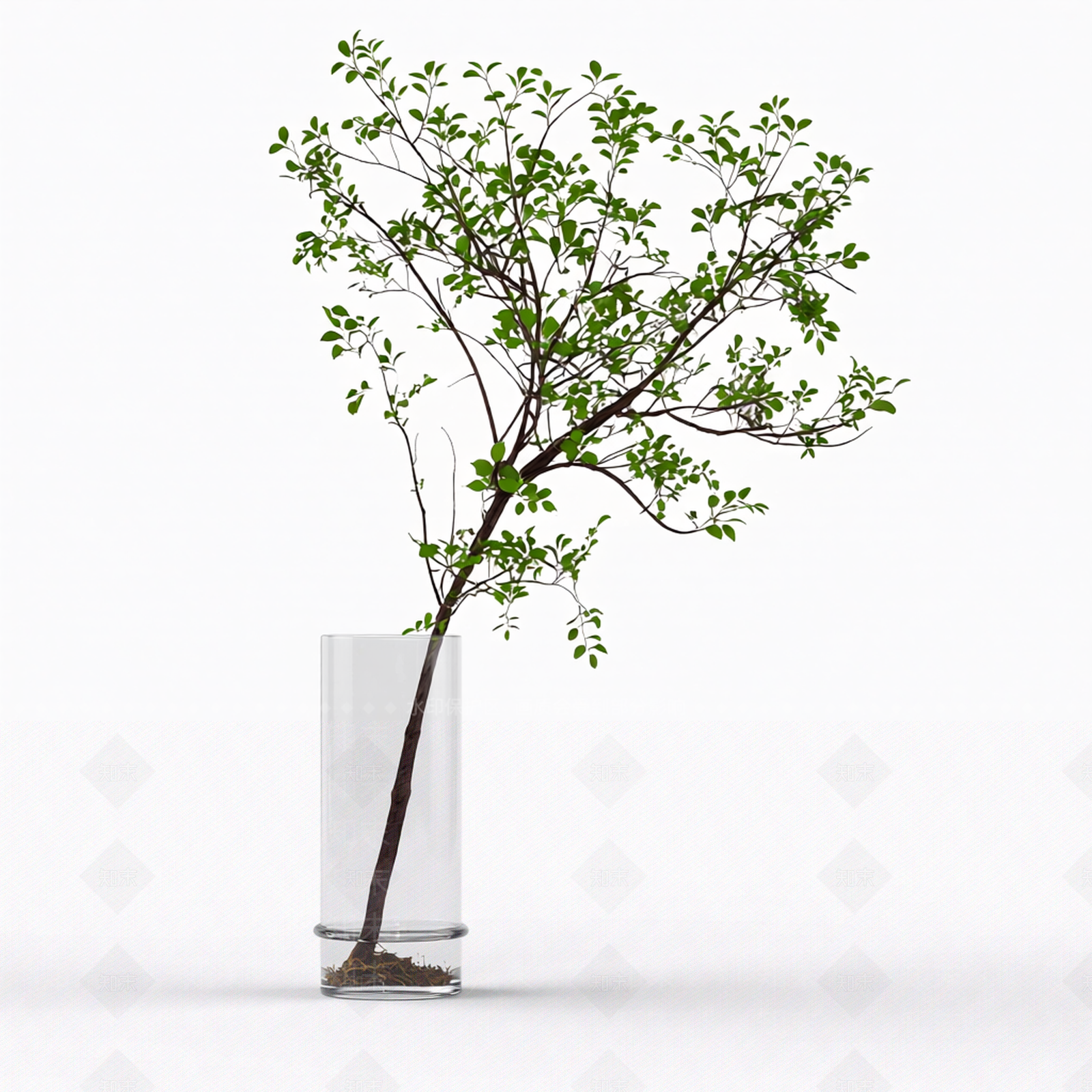 带盆枝叶植物模型3D模型下载【ID:1206188631】