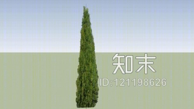 柏树SU模型下载【ID:121198626】