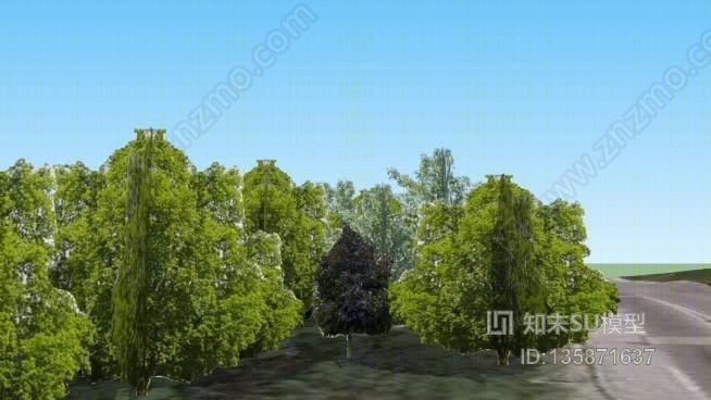 Ohare广场2附近的树木SU模型下载【ID:135871637】