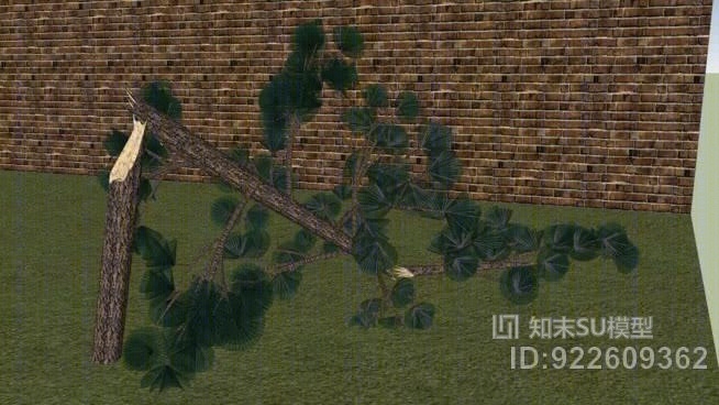 新落叶松树SU模型下载【ID:922609362】