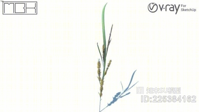 草，高聚合，VRY准备（052）SU模型下载【ID:225384162】