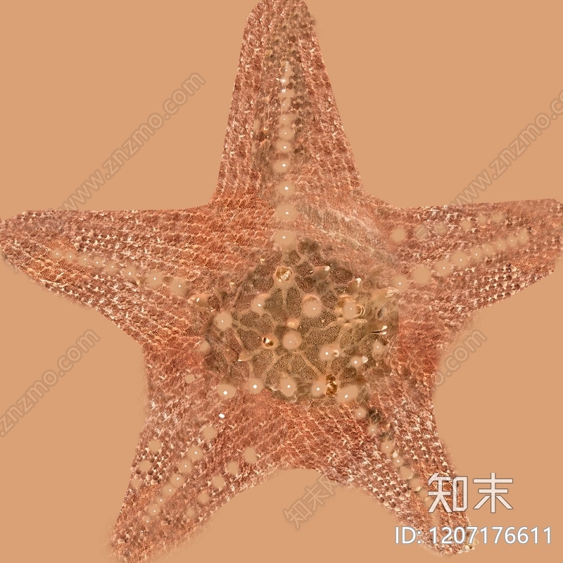 挂画贴图下载【ID:1207176611】
