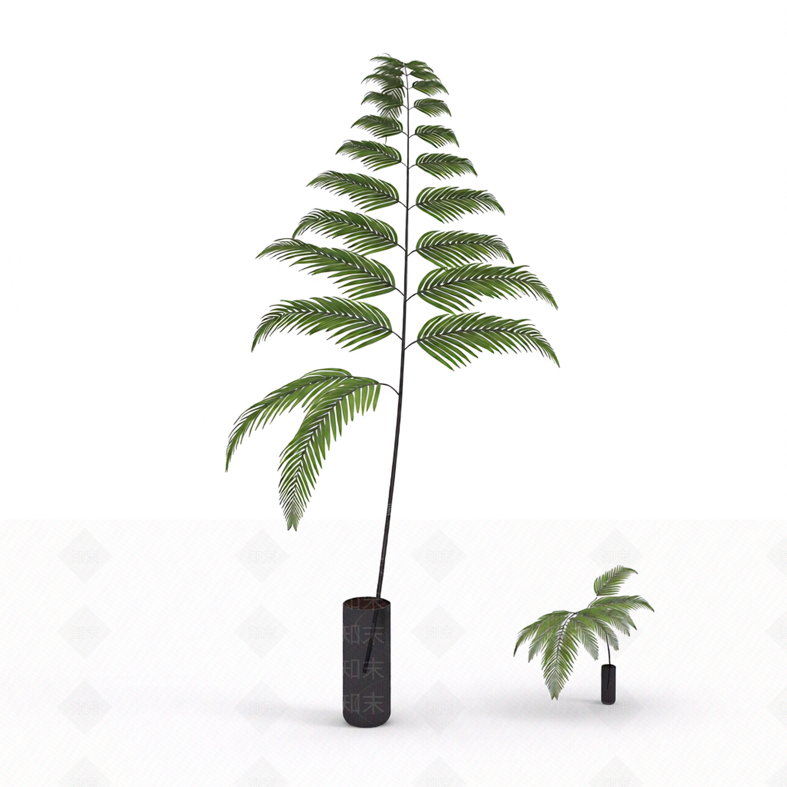 带盆绿植模型3D模型下载【ID:1206189093】