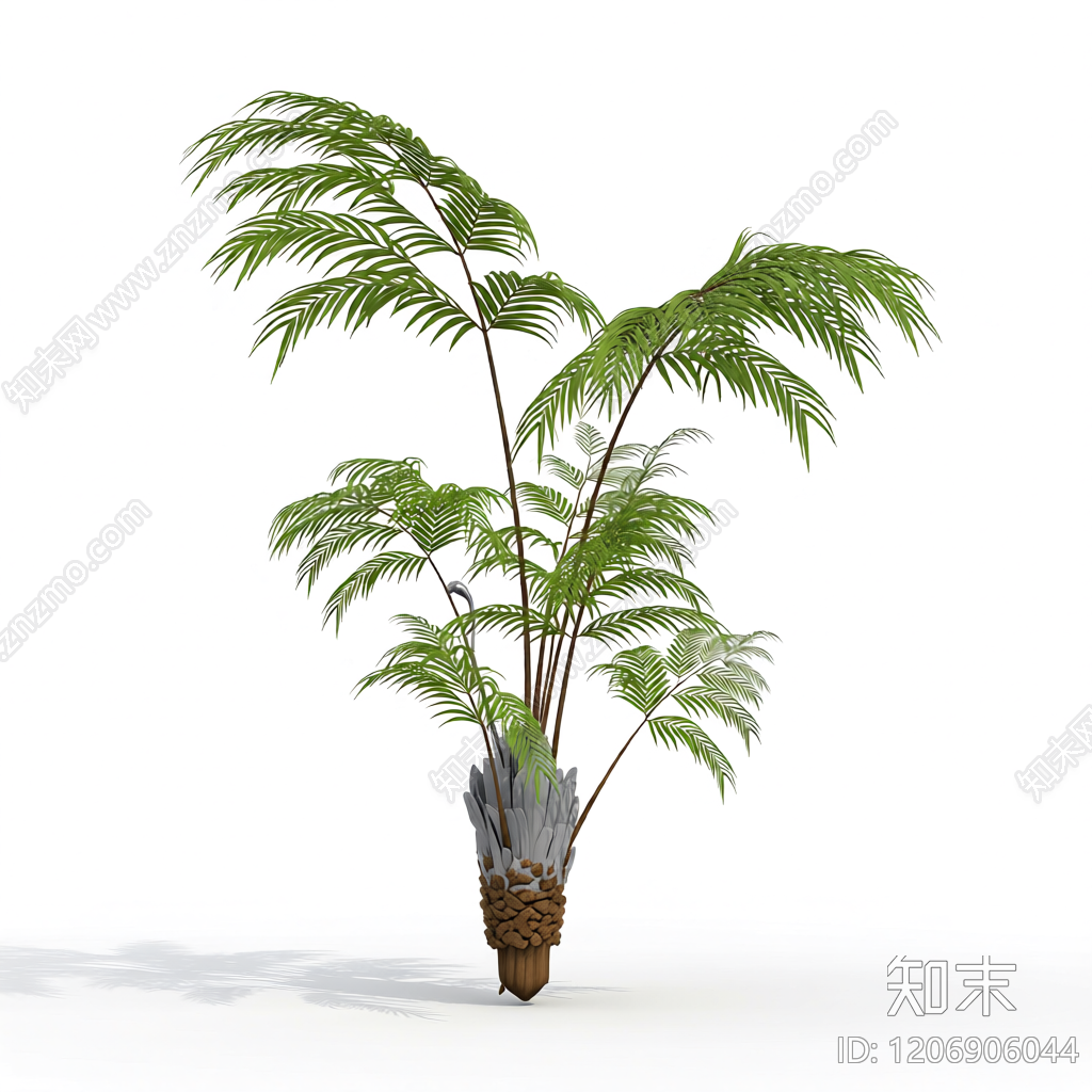 盆栽蕨类植物3D模型下载【ID:1206906044】
