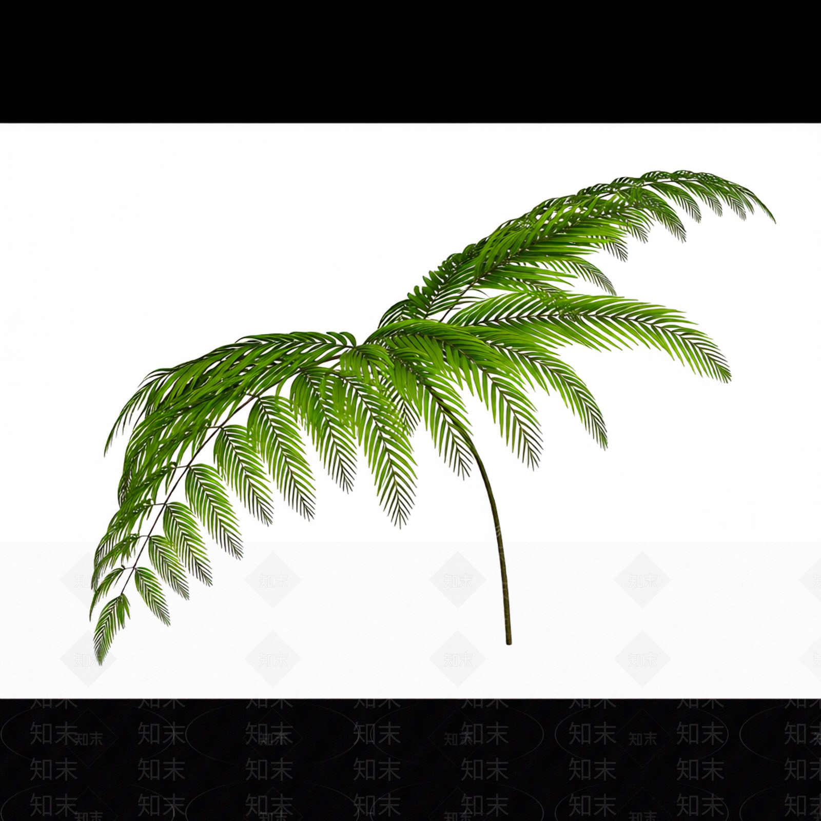绿色枝叶植物模型3D模型下载【ID:1206191441】