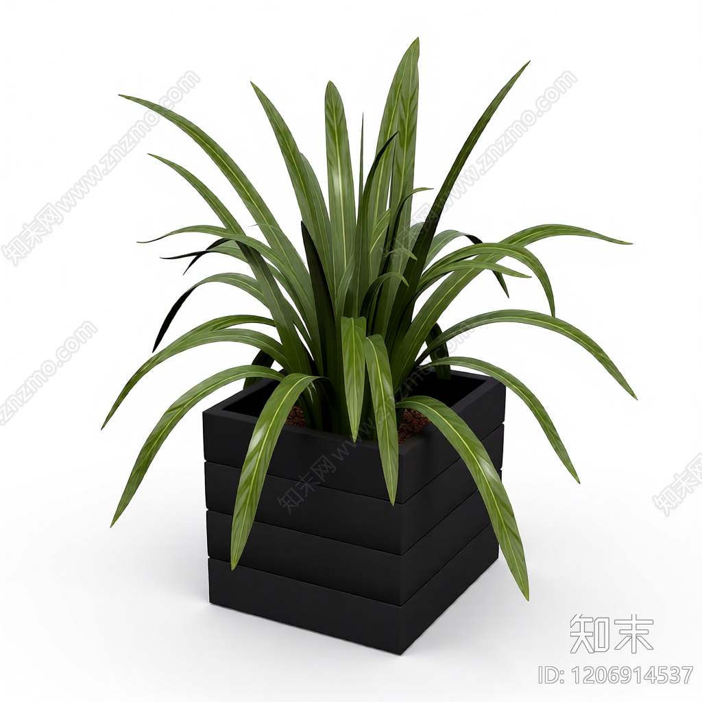 盆栽植物装饰3D模型下载【ID:1206914537】