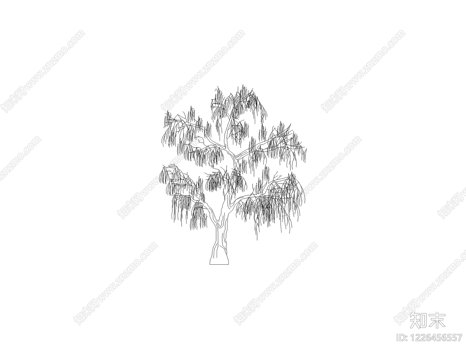 乔木种植CAD图纸