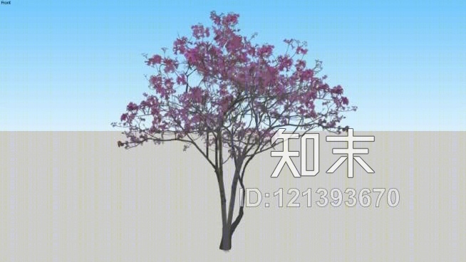 紫荆树SU模型下载【ID:121393670】