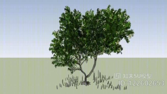树下的二维无+SU模型下载【ID:122602653】