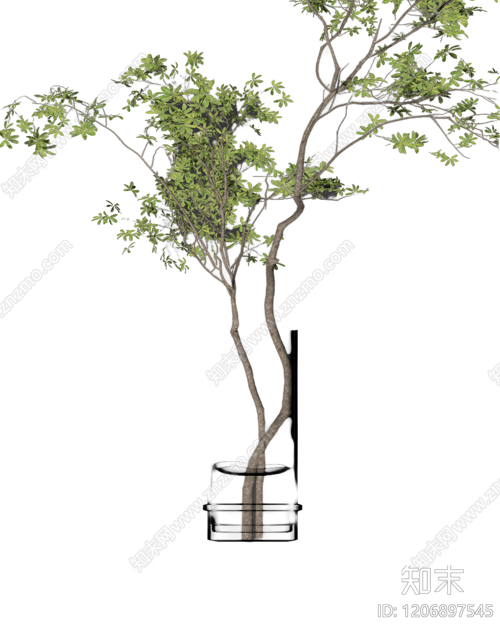 盆栽植物装饰3D模型下载【ID:1206897545】