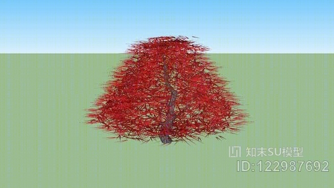 日本枫树SU模型下载【ID:122987692】