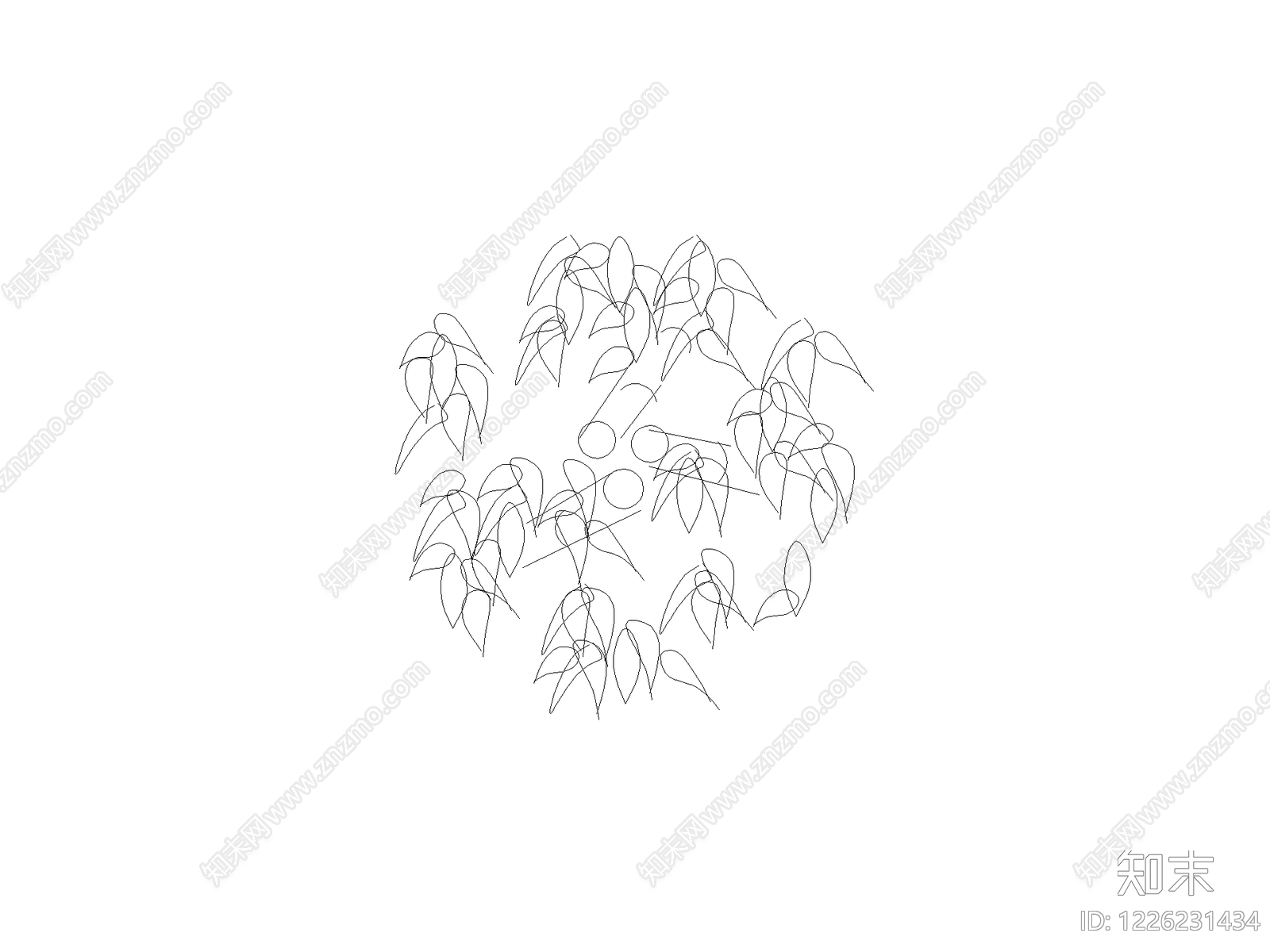 现代乔木种植CAD图纸