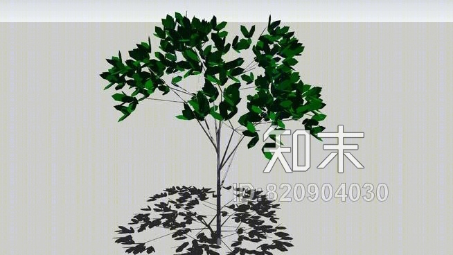 树SU模型下载【ID:820904030】