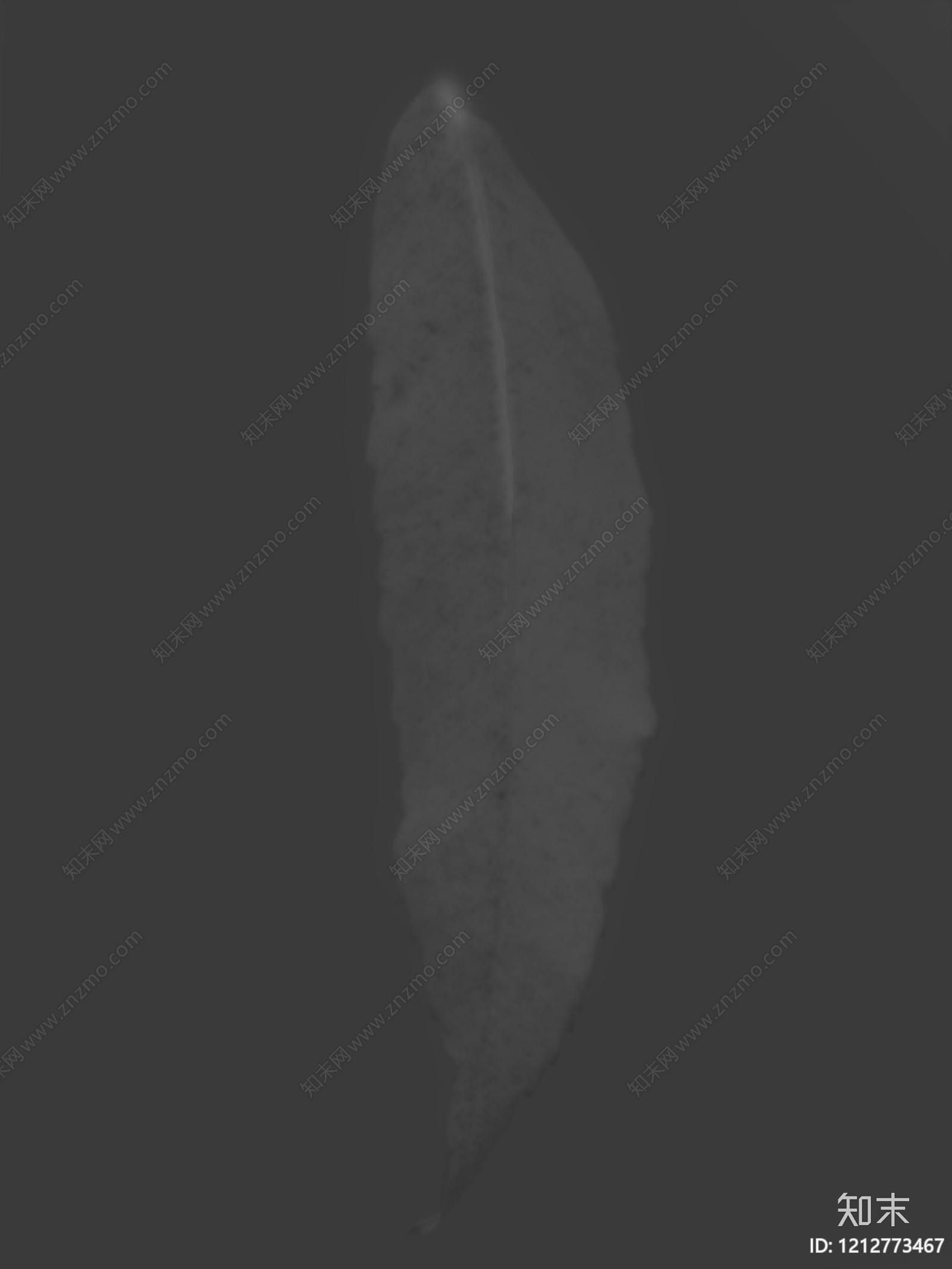 叶片纹理贴图下载【ID:1212773467】