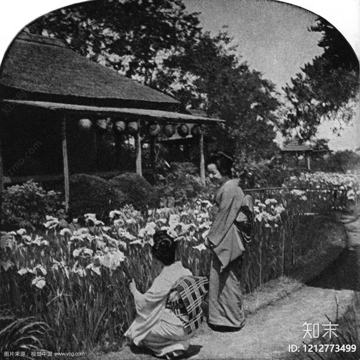 花园贴图下载【ID:1212773499】