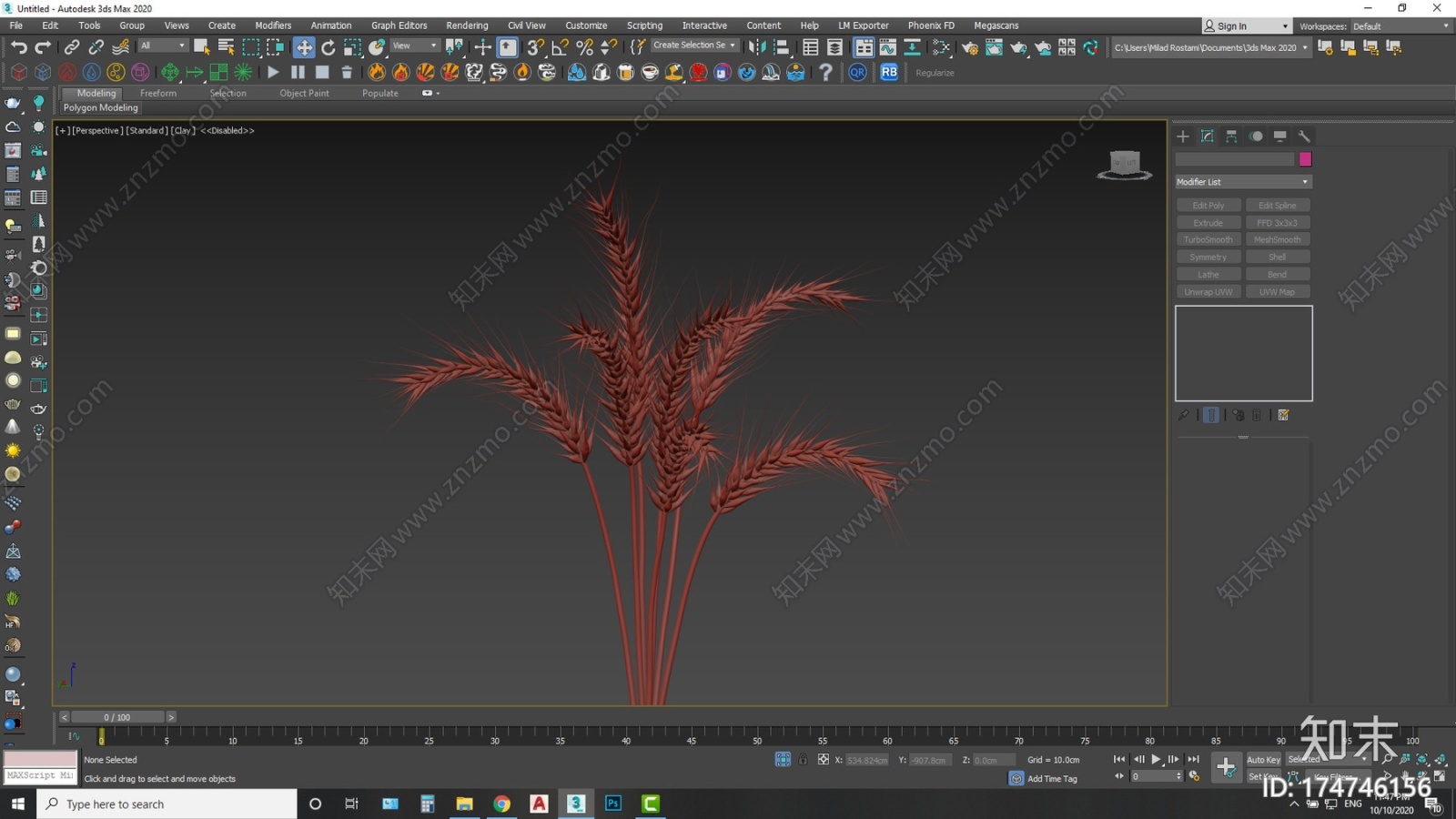 小麦植物+建模教程CG模型下载【ID:174746156】