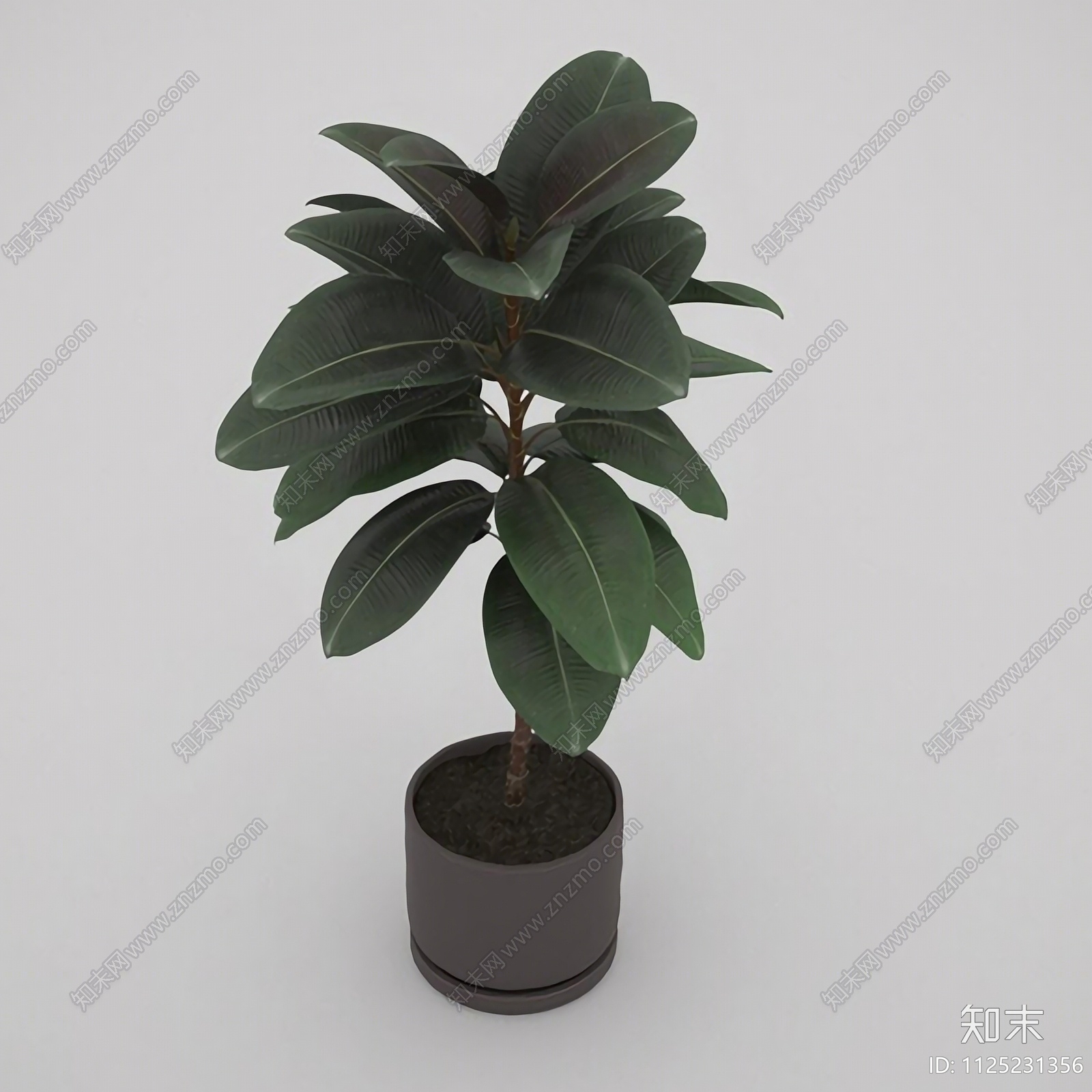 现代简约绿植盆栽3D模型下载【ID:1125231356】