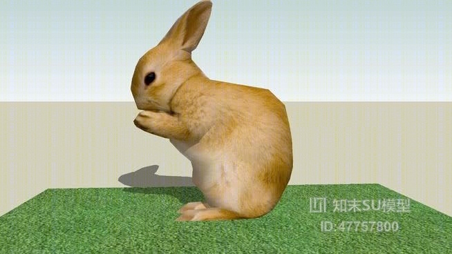 爬行类动物SU模型下载【ID:47757800】