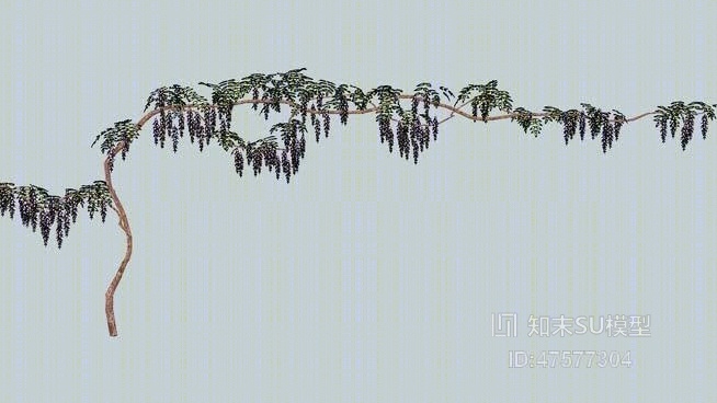 树SU模型下载【ID:119283657】